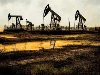 ПНООЛР Нефтедобывающее предприятие 2024 г. pnoolrda22