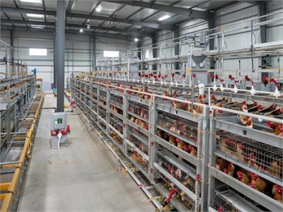 Комплект проектов экологической документации. Разведение сельскохозяйственной птицы (птицефабрика). 2024 г. ker14